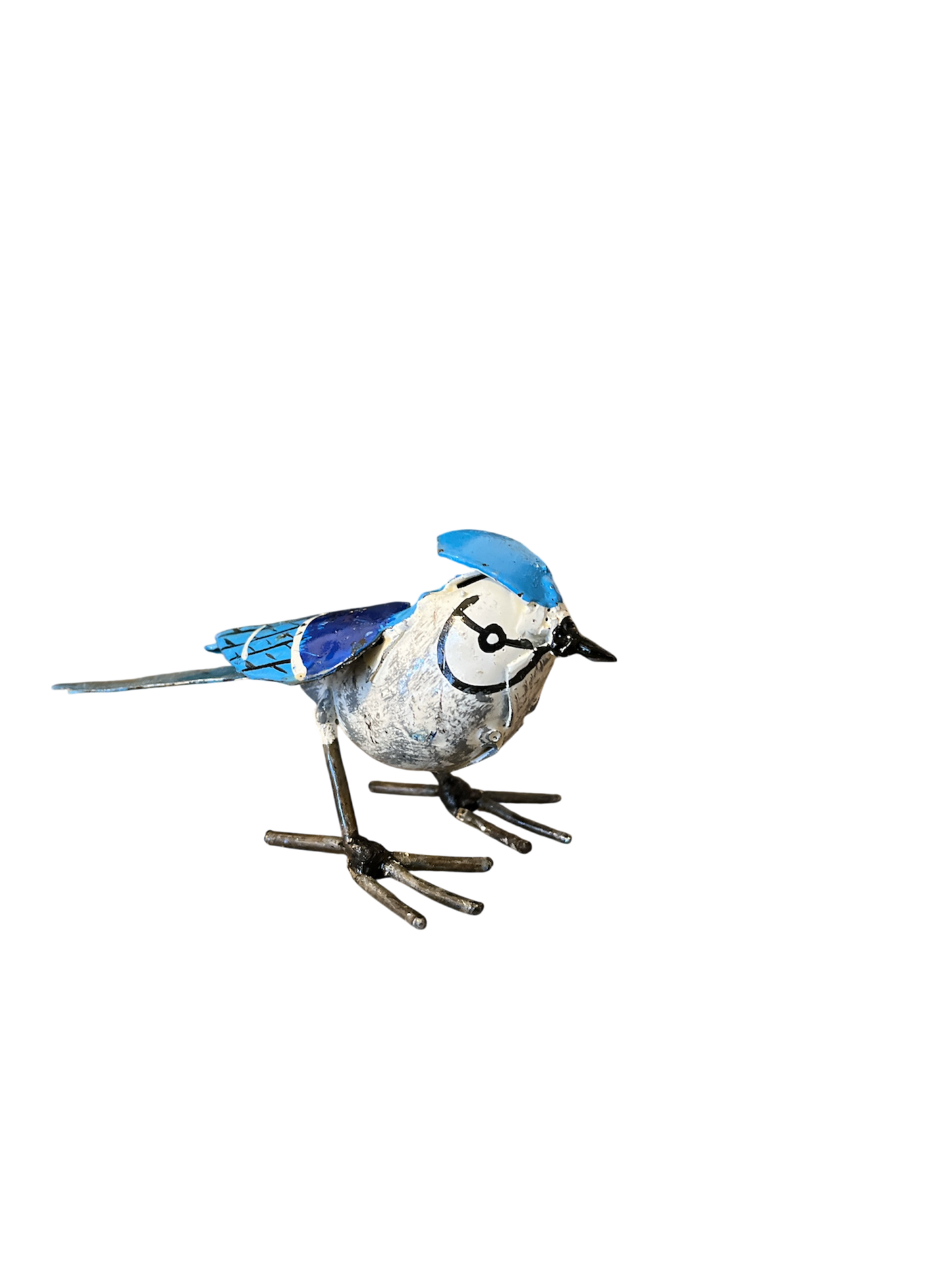 Fågel blåskrika