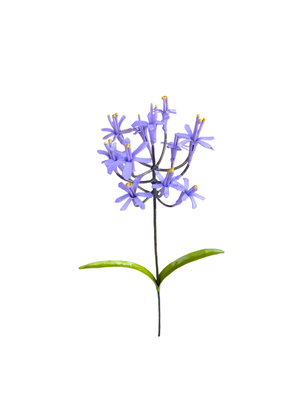 Blomma afrikansk lilja
