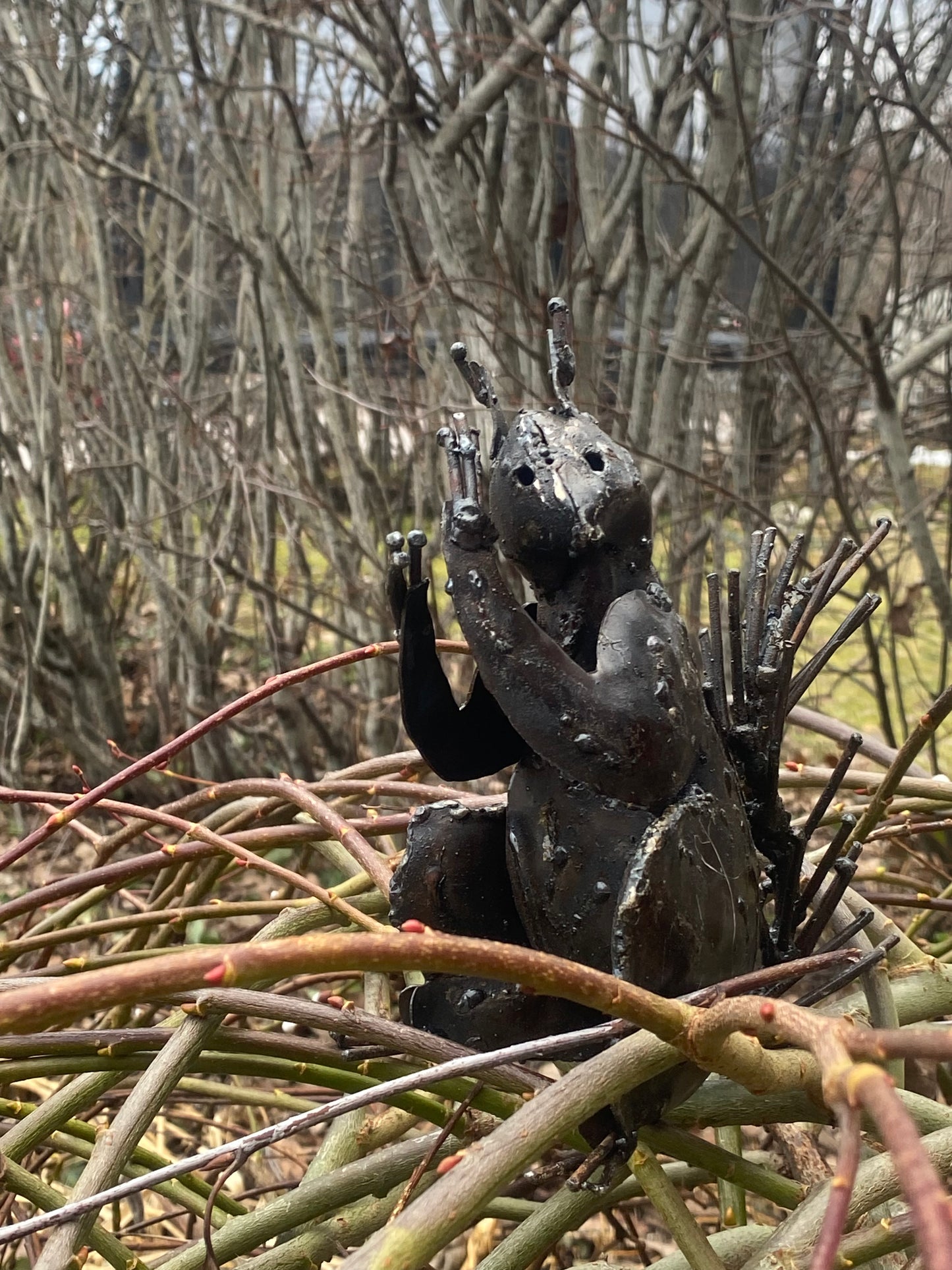 Sittande ekorre på trädgrenar.