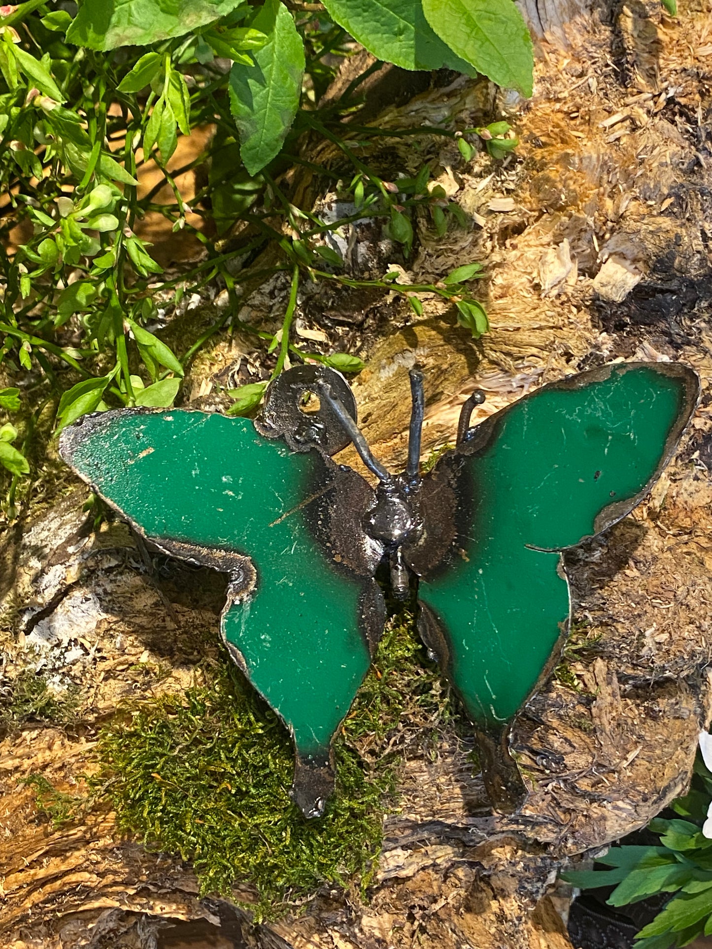 Fjäril grön 14 cm