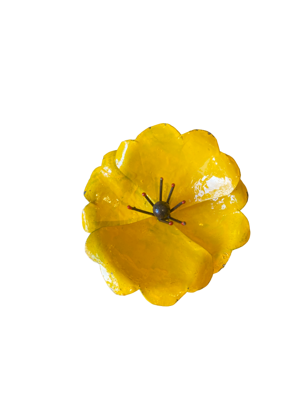 Blomma enkel vallmo gul