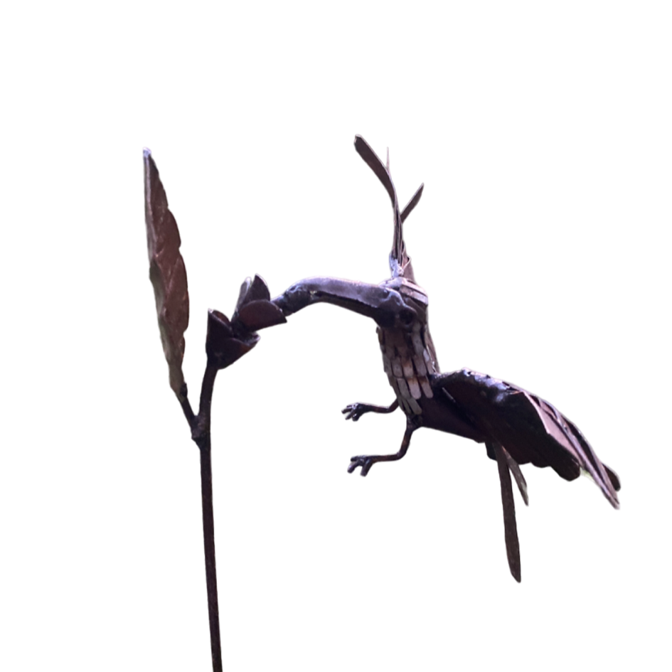 Växtstöd kolibri