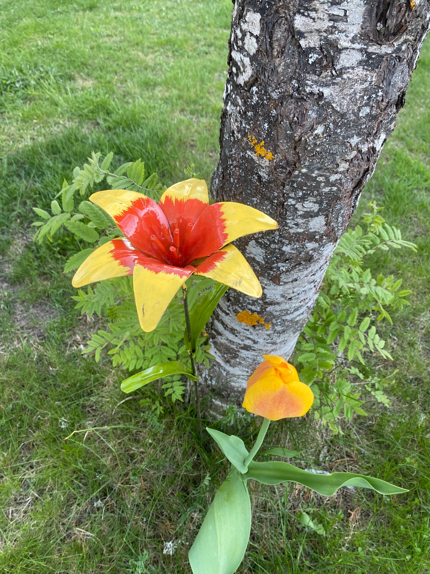 Blomma lilja gul 73 cm