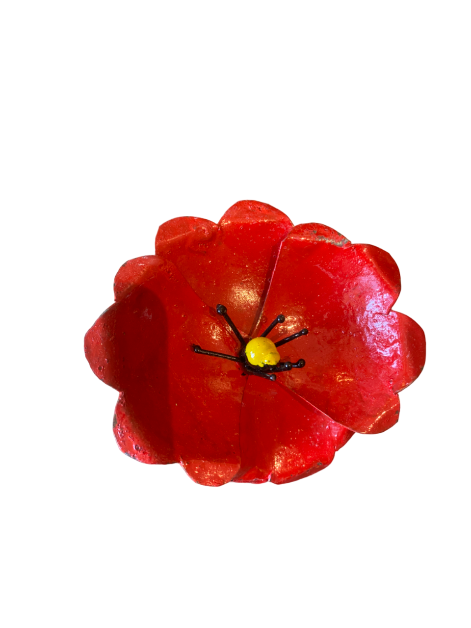 Blomma enkel vallmo röd