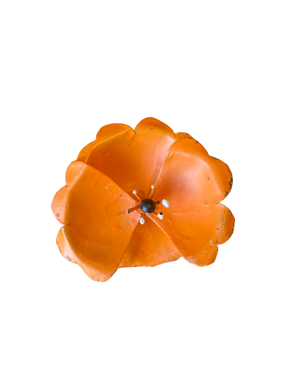 Blomma enkel vallmo orange