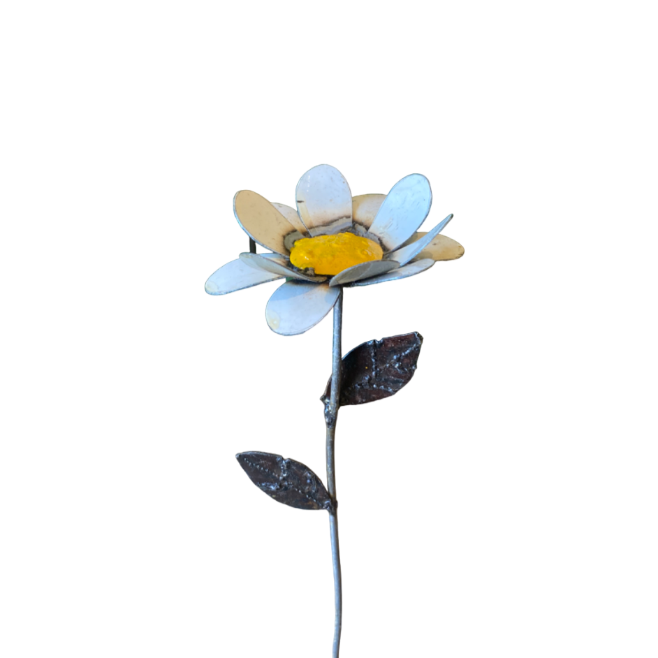 Blomma vit 66 cm