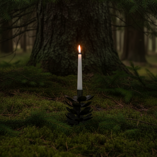 Kottljusstake vid granstam i mörk skog